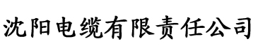 天美麻花电缆厂logo